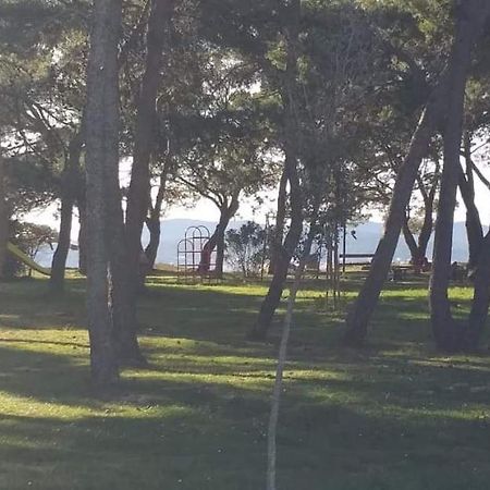 Apartman Petar Lägenhet Zadar Exteriör bild