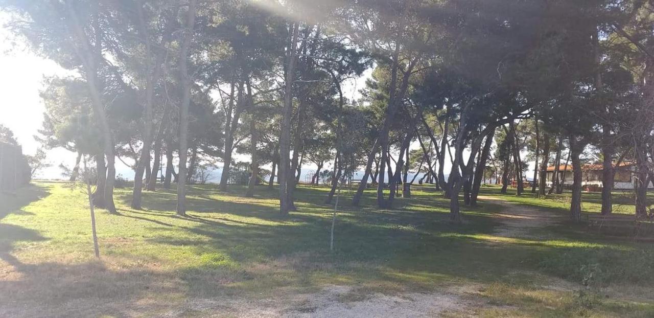 Apartman Petar Lägenhet Zadar Exteriör bild